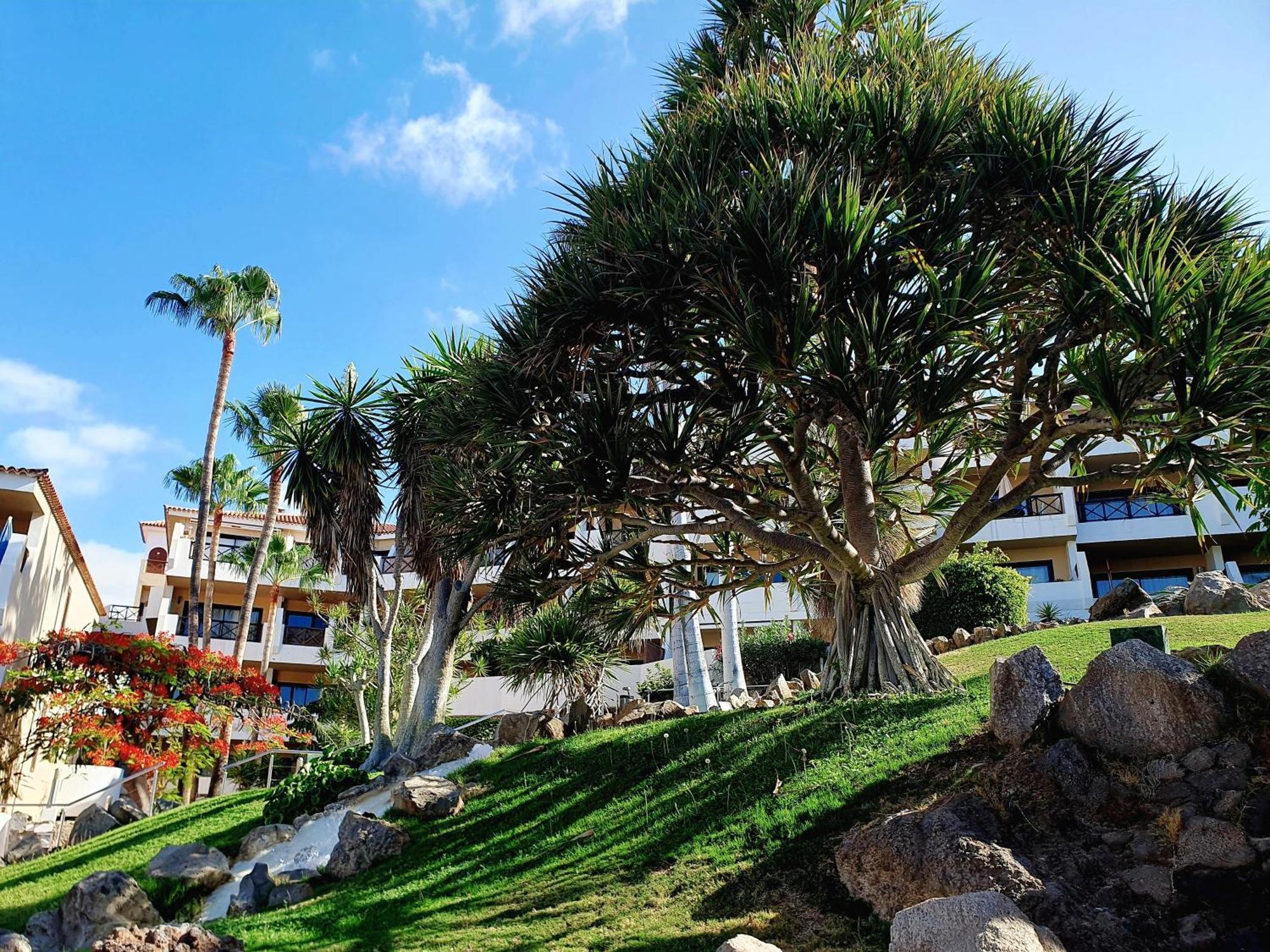 Spacious Apartment With Private Garden In Tenerife South San Miguel de Abona Exterior photo